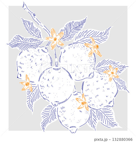 hand drawn fruit background with tropical fruits 132880366