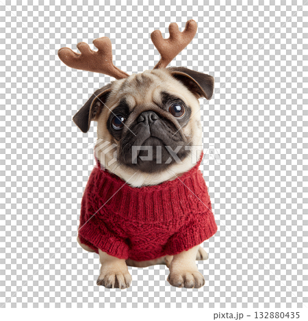 Cute Pug Wearing a Red Sweater and Reindeer Antlers in a Festive Setting 132880435