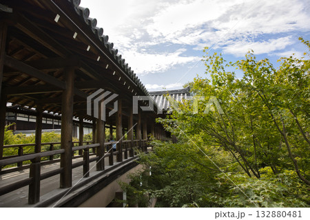 東福寺　朝のやさしい日差しに照らされる通天橋1 132880481