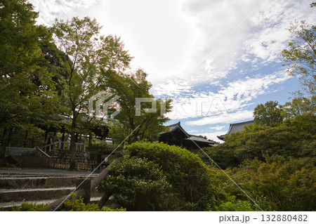 東福寺 洗玉澗から望む通天橋と通天モミジ1 東福寺 洗玉澗から望む通天橋と通天モミジ1 132880482