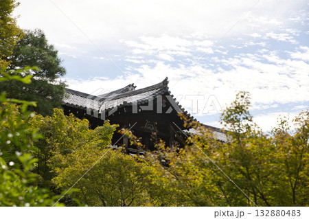 東福寺 洗玉澗から望む通天橋と通天モミジ2 東福寺 洗玉澗から望む通天橋と通天モミジ2 132880483