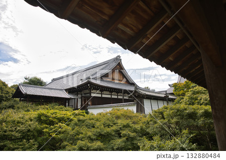 東福寺　通天橋から観る通天モミジと方丈1 132880484