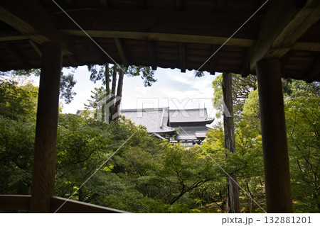 東福寺 通天橋からみる青楓と本堂と三門の立派な屋根1 東福寺 通天橋からみる青楓と本堂と三門の立派な屋根1 132881201