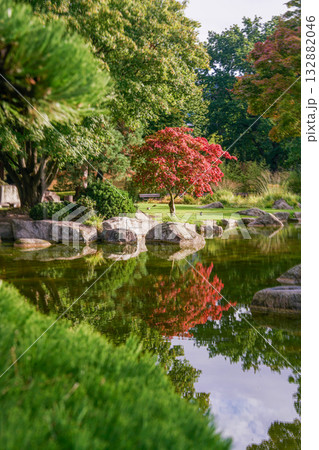 Japanese garden in Botanical garden PLANTEN un BLOMEn in Hamburg, Japanese garden in Botanical garden PLANTEN un BLOMEn in Hamburg, 132882046