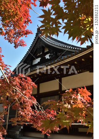 総本山仁和寺 秋の金堂(京都市右京区) 総本山仁和寺 秋の金堂(京都市右京区) 132882211