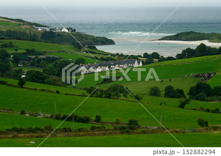 Green fields slope down to a sandy beach and the ocean in West Cork, Ireland. Several houses sit in the green landscape. Cattle graze in a field. Green fields slope down to a sandy beach and the ocean in West Cork, Ireland. Several houses sit in the green landscape. Cattle graze in a field. 132882294