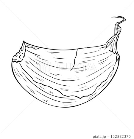 Monochrome botanical fragrant spice drawing of garlic cloveplant isolated on white background. Graphic hand drawn ink vector Monochrome botanical fragrant spice drawing of garlic cloveplant isolated on white background. Graphic hand drawn ink vector 132882370