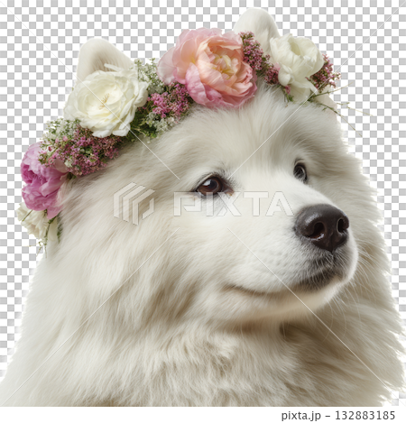 Happy Samoyed Dog Wearing a Flower Crown in a Cheerful Setting. 132883185