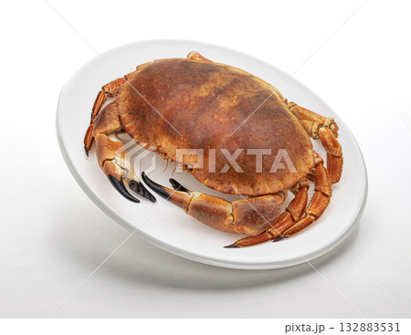 Cooked crab on plate isolated on white background, top view Cooked crab on plate isolated on white background, top view 132883531