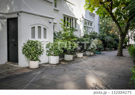 Residential Building with Green Plants and Trees in Peaceful Courtyard Residential Building with Green Plants and Trees in Peaceful Courtyard 132884275
