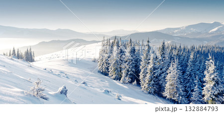 Winter Winter 132884793