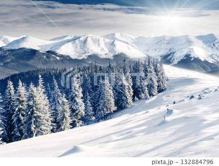 Winter 132884796