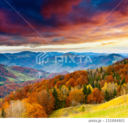 autumn 132884801