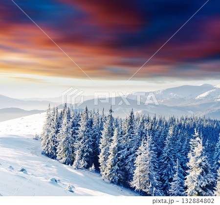 Winter 132884802