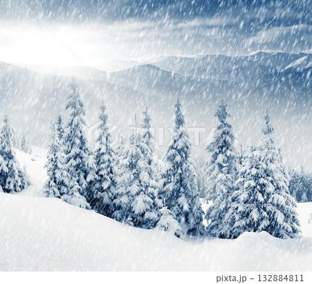 Winter Winter 132884811