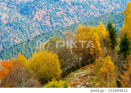 autumn autumn 132884812