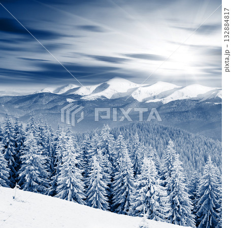 Winter Winter 132884817