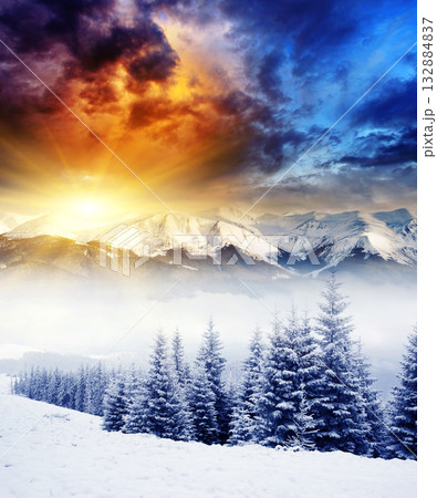 Winter 132884837