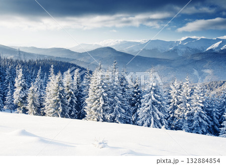 Winter 132884854