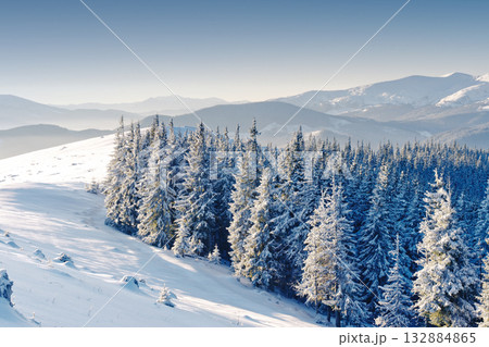 Winter Winter 132884865