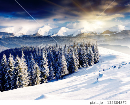 Winter Winter 132884872
