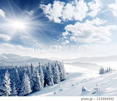 Winter Winter 132884892