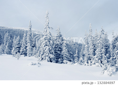 Winter 132884897