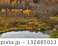 Autumn forest with a pond on a cloudy day, Russia 132885011