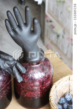 Two glass jars with fermenting grapes. Black rubber gloves are put on the jars. One glove is inflated by fermentation gases. Making homemade grape wine. Two glass jars with fermenting grapes. Black rubber gloves are put on the jars. One glove is inflated by fermentation gases. Making homemade grape wine. 132885158