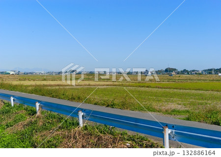 埼玉県中川沿いの風景2025年11月 132886164