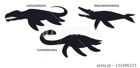 Water dinosaur silhouettes. Jurassic plesiosaur and mosasaurus animals flat vector illustration set. Ancient dinos silhouettes on white Water dinosaur silhouettes. Jurassic plesiosaur and mosasaurus animals flat vector illustration set. Ancient dinos silhouettes on white 132886223