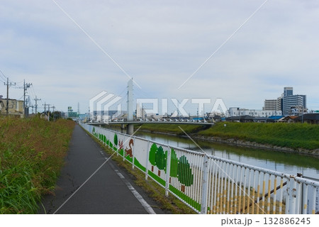 曇天の芝川サイクリングロード2025年11月 曇天の芝川サイクリングロード2025年11月 132886245