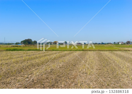 埼玉県松伏の風景2025年11月 132886318