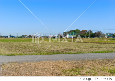 埼玉県松伏の風景2025年11月 132886319