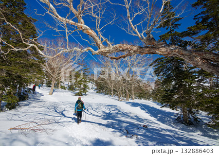 鳩待峠から残雪期の至仏山に向かう登山者 鳩待峠から残雪期の至仏山に向かう登山者 132886403