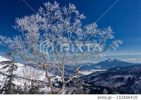 鳩待峠から至仏山へ向かう途中の霧氷と燧ヶ岳 132886410