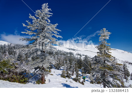 鳩待峠からの登りから見る雲流れる至仏山 132886415