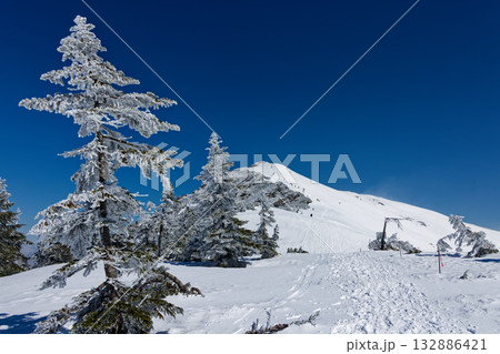 残雪期の鳩待峠から至仏山へ向かう途中から見る小至仏山 残雪期の鳩待峠から至仏山へ向かう途中から見る小至仏山 132886421