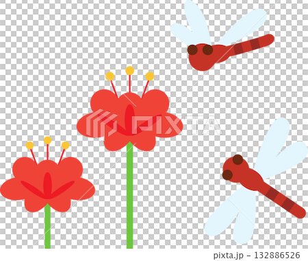 秋彼岸花 132886526