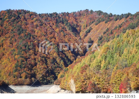 ダム湖にかかる紅葉の山肌　（群馬県　奈良俣湖） 132886593