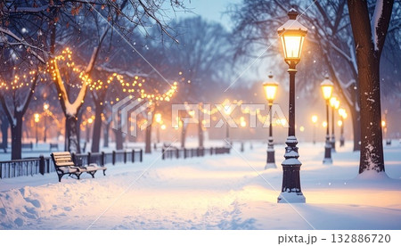 雪に包まれた都市公園と柔らかく灯る街灯の冬景色 132886720