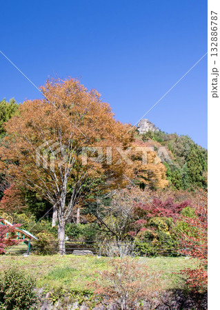嵩山の紅葉　道の駅霊山たけやま　群馬県中之条町 132886787