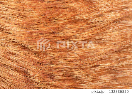 Natural fox fur macro photo as a background. 132886830