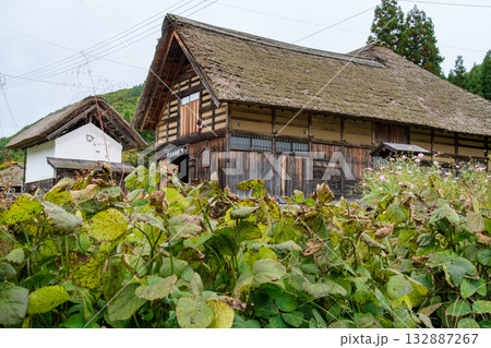 古民家の茅葺屋根 132887267