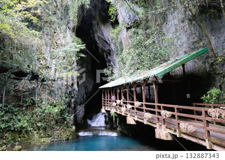 秋芳洞　特別天然記念物　洞窟入口　山口県　美祢市 132887343