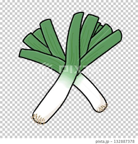 ポワローネギ 132887378