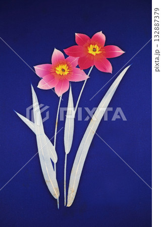 アンティク帯の生地 132887379