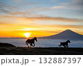 初日の出を迎える富士山を望む牧場を走る二頭の馬のシルエット 132887397