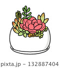 多肉植物の寄せ植え 132887404
