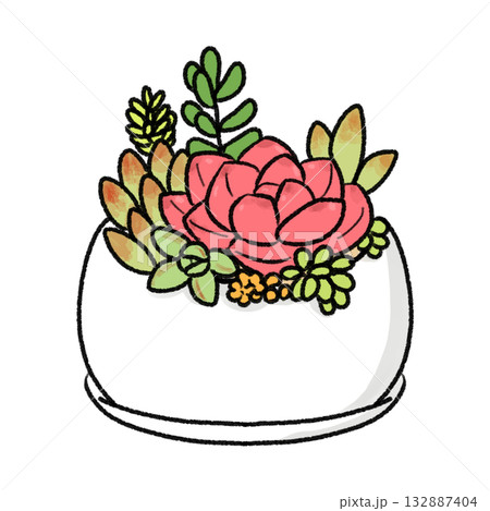 多肉植物の寄せ植え 多肉植物の寄せ植え 132887404